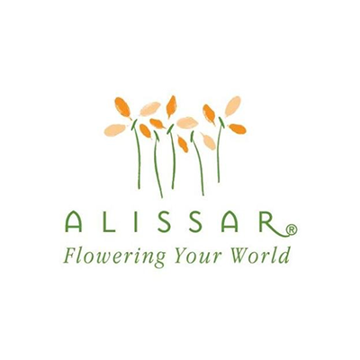 Alissar Flowers